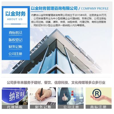 财务记账-内蒙古以金财务-财务记账报表
